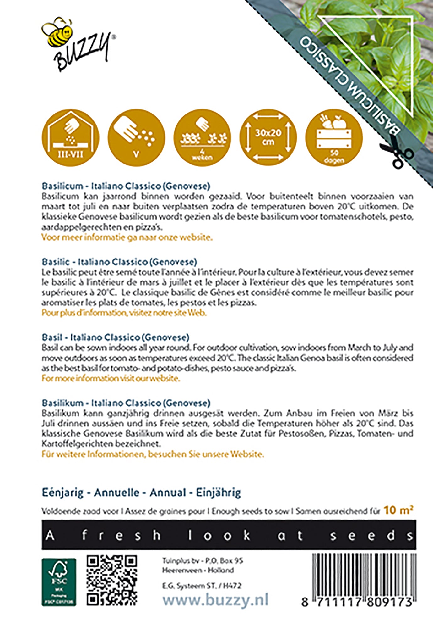 Basilika ‘Italiano Classico’ – Buzzy Seeds fröpåsens baksida med såanvisningar