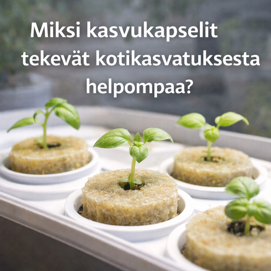 Miksi kasvukapselit tekevät kotikasvatuksesta helpompaa?