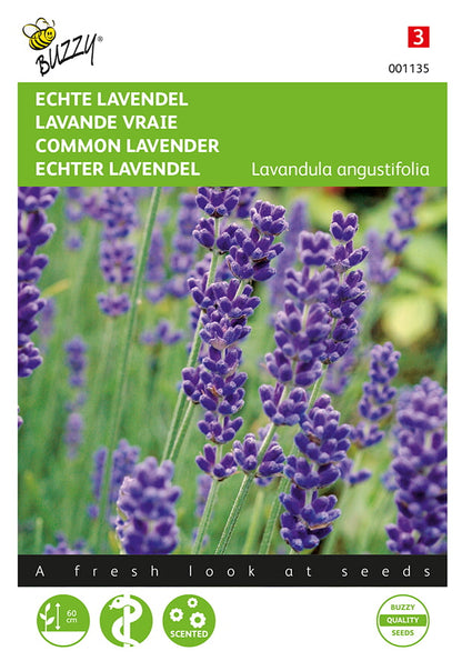 Fröpåse med Aito laventeli (Lavandula angustifolia) -ört. Buzzy®-varumärke med violetti kukkateema