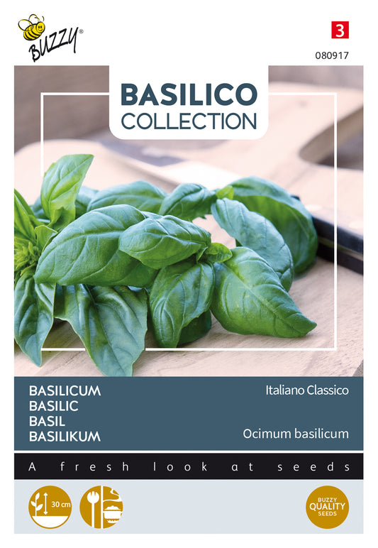 Basilika ‘Italiano Classico’ – Buzzy Seeds fröpåsens framsida basilikans bildlla