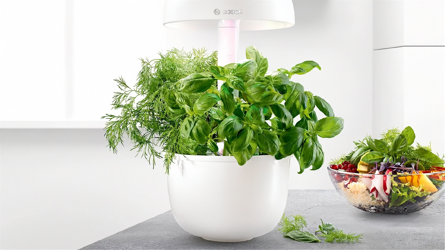 Vihreitä kasveja kasvamassa Bosch SmartGrow 3 -laitteessa kirkkaan LED-valon alla.
