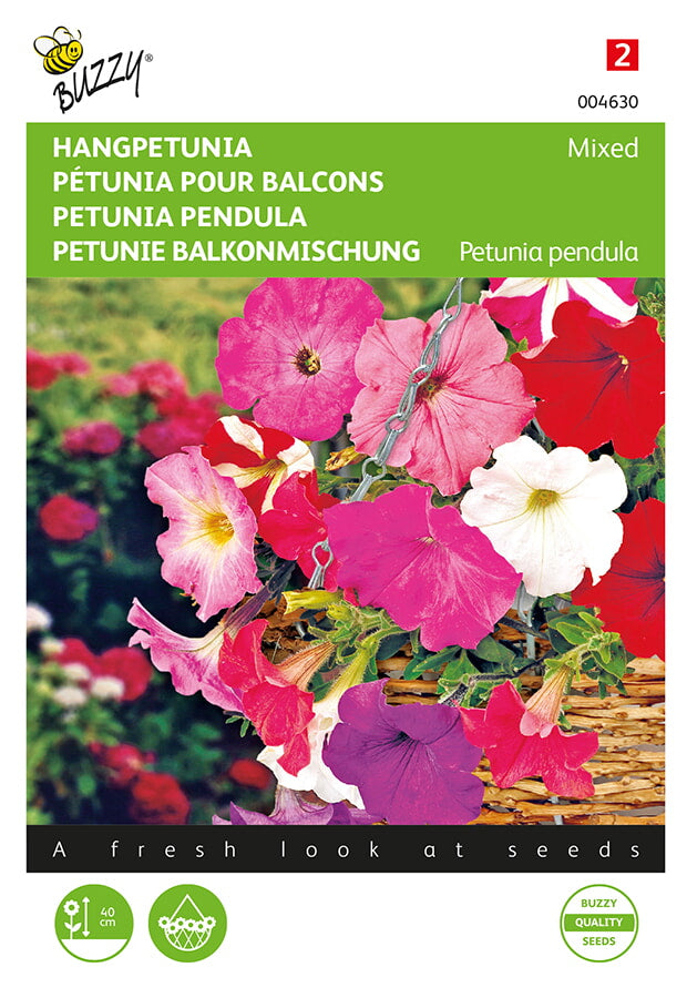 Ampelpetunia ‘Pendula Mixed’ fröpåse framifrån – Buzzy®