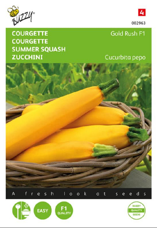 Gold Rush F1 kesäkurpitsa siemenpussi edestä – Buzzy®