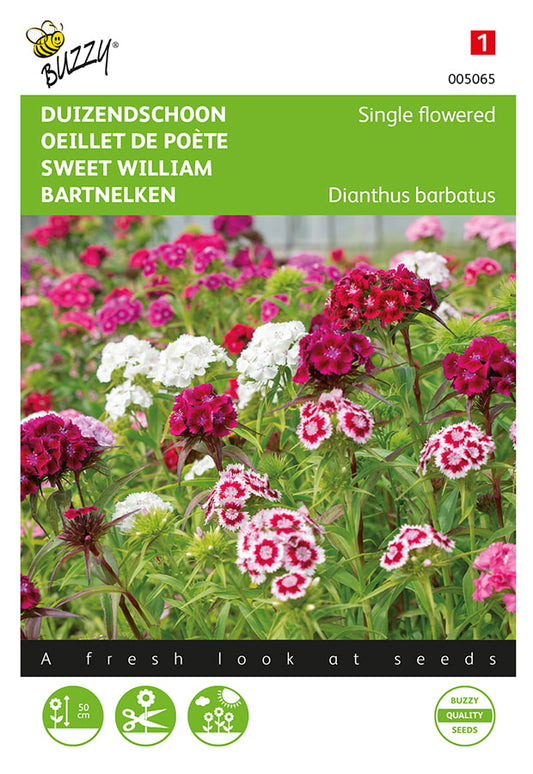 Borstnejlika Mixed fröpåse framifrån – Buzzy®
