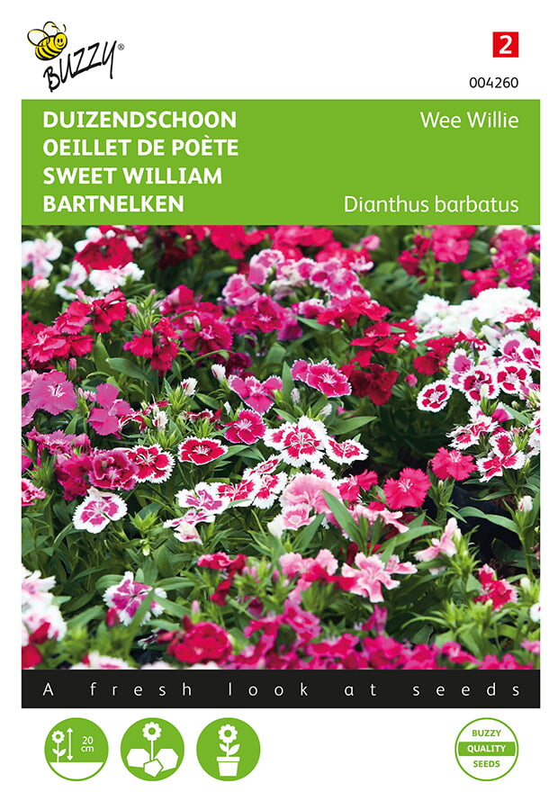 Borstnejlika Wee Willie Mixed fröpåse framifrån – Buzzy®
