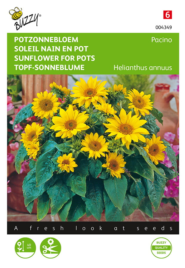 Liten solros ‘Pacino’ fröpåse framifrån – Buzzy®