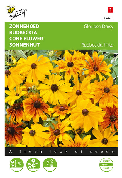 Rudbeckia ‘Gloriosa Daisy’ fröpåse framifrån – Buzzy®