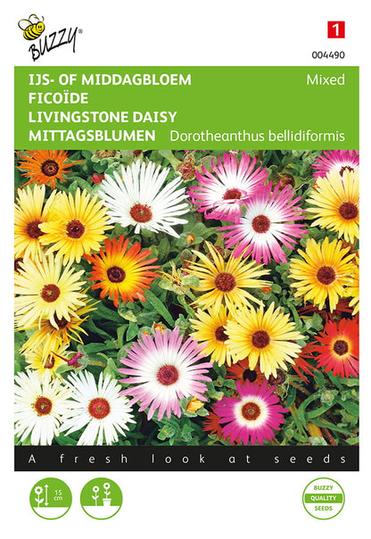 Dorotheanthus ‘Livingstone Daisy’ Mixed fröpåse framifrån – Buzzy®