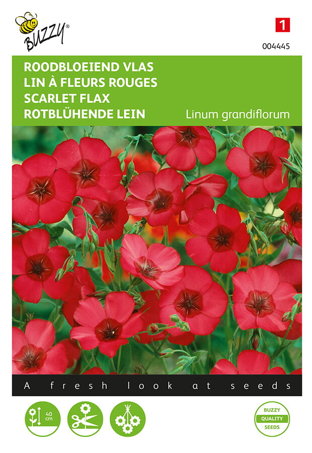 Blomsterlin ‘Scarlett’ fröpåse framifrån – Buzzy®