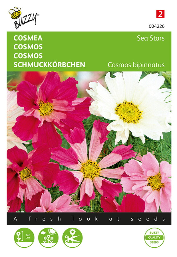 Kosmos Sea Stars Mixed fröpåse framifrån – Buzzy®