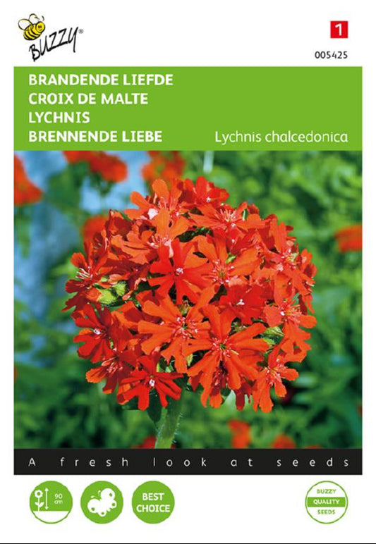 Lychnis Burning Love fröpåse framifrån – Buzzy®