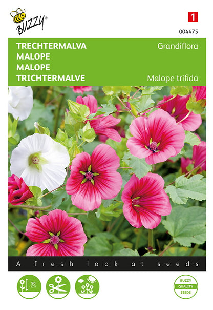 Maloppi Grandiflora Mixed fröpåse framifrån – Buzzy®