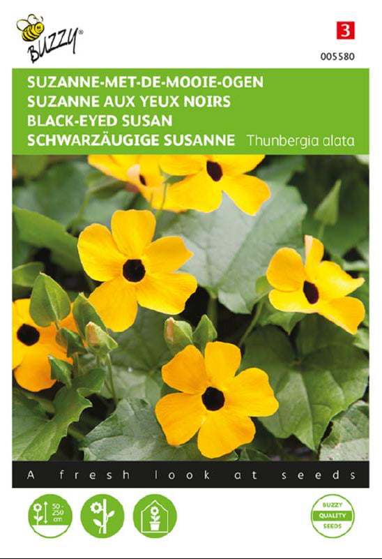 Svartöga ‘Susanna’ fröpåse framifrån – Buzzy®