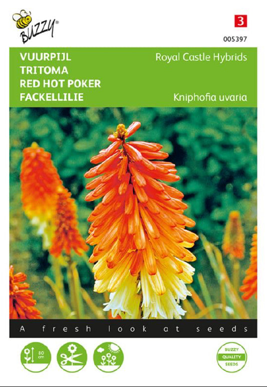 Rakettikukka Royal Castle Hybrids fröpåse framifrån – Buzzy®