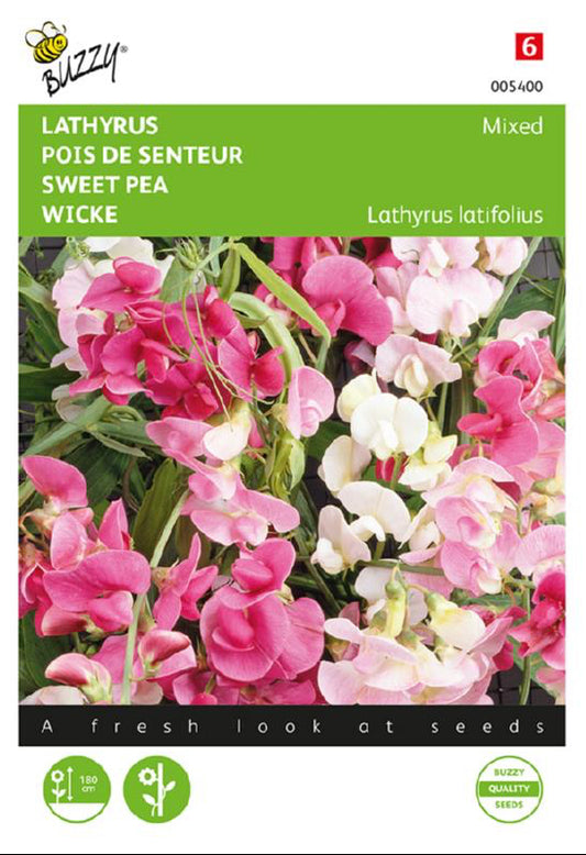 Ruusunätkelmä Everlasting Sweet Pea Mixed fröpåse framifrån – Buzzy®