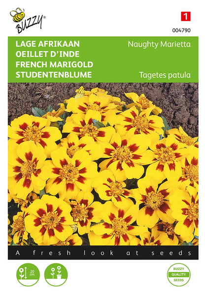 Tagetes ‘Naughty Marietta’ fröpåse framifrån – Buzzy®