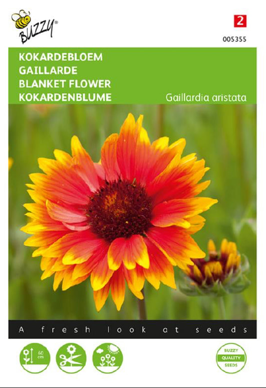 Präriesolhatt fröpåse framifrån – Buzzy® Blanket Flower