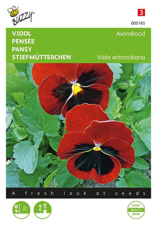 Pensé Alpenglow fröpåse framifrån – Buzzy®