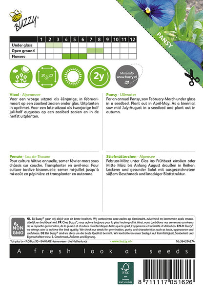 Tarhaorvokki Swiss Giants Blue with Blotch siemenpussi takaa kylvöohjeilla