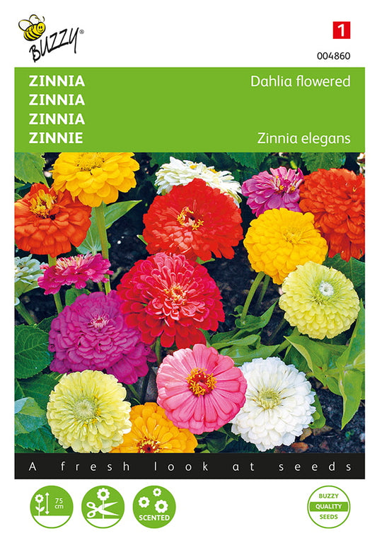 Zinnia dahlia-blommig sekoitus fröpåse framifrån – Buzzy®