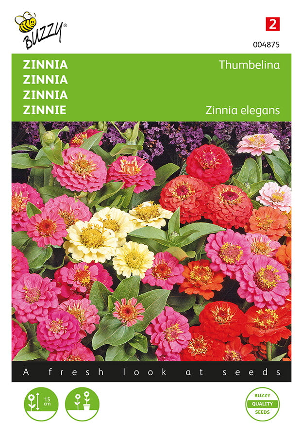 Zinnia ‘Thumbelina’ matala sekoitus fröpåse framifrån – Buzzy®