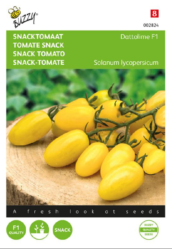 Dattolime F1 snacktomat frön – Solanum lycopersicum