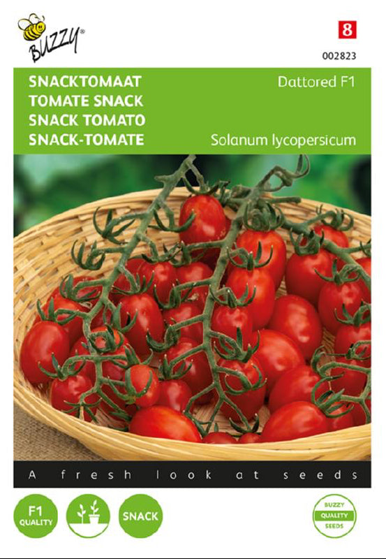 Dattored F1 snacktomat frön – Solanum lycopersicum