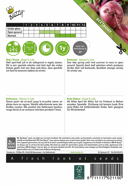 Back of the Buzzy® Detroit 5 Loki Beetroot (Beta vulgaris) seed packet with sowing and growing instructions.