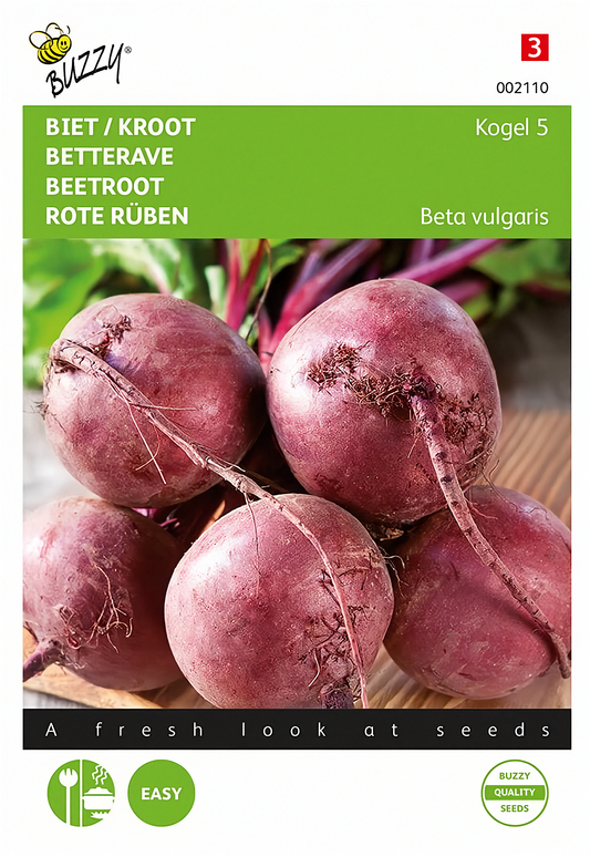 Front of the Buzzy® Detroit 5 Loki Beetroot (Beta vulgaris) seed packet.