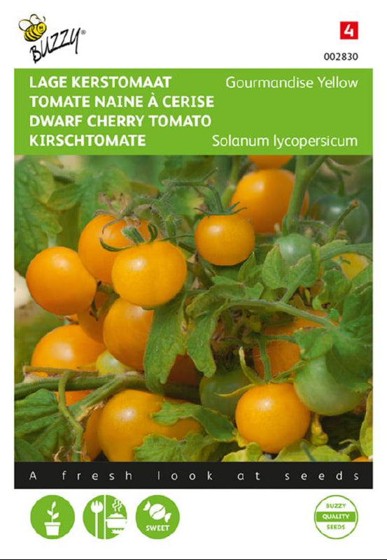 Gourmandise Yellow kääpiökirsikkatomat frön – Solanum lycopersicum