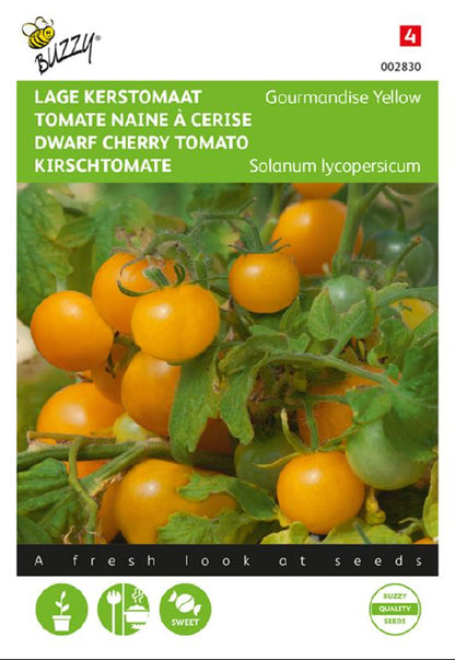 Gourmandise Yellow kääpiökirsikkatomat frön – Solanum lycopersicum