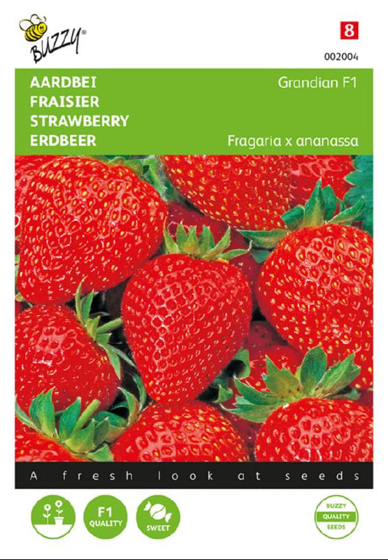 Grandian F1 mansikan frön – Fragaria × ananassa