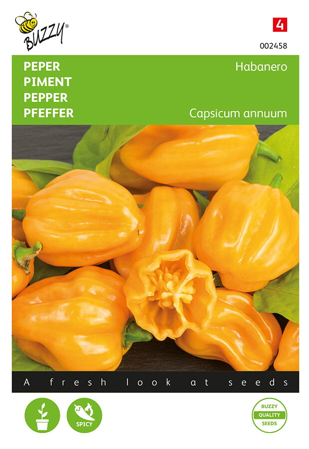 Habanero Orange -fröpåsens framsida med klart orangefärgade, små chilejä.