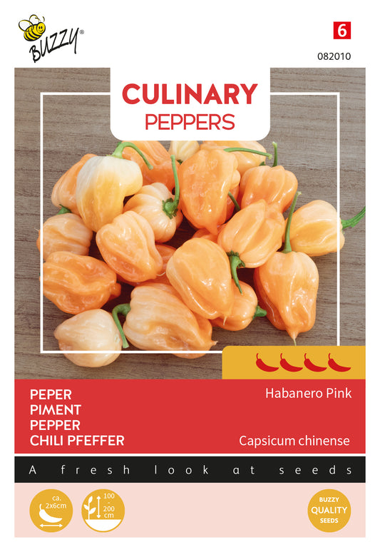 Habanero Pink chili siemenet – Buzzy Capsicum chinense
