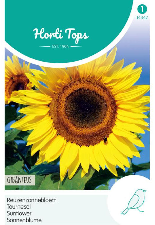 Auringonkukka Giganteus siemenpussi edestä – Horti Tops®
