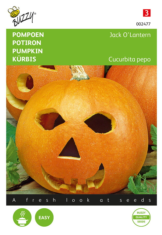 Jack O’Lantern -kurpitsan fröpåsens framsida med klassinen oranssi halloweenkurpitsa.
