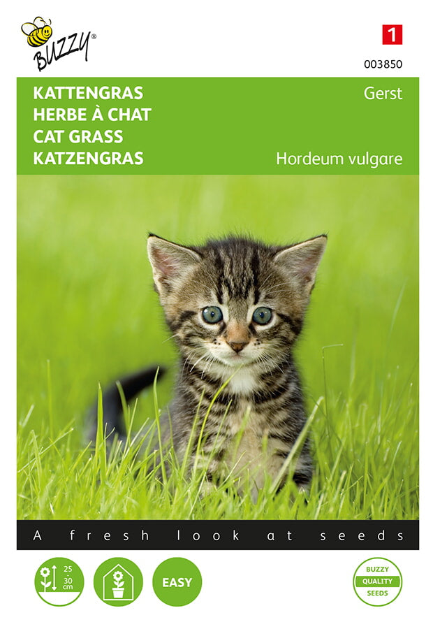 Kattgräs (korn)n fröpåsens framsida med grönä kissanruohoa och kissa.