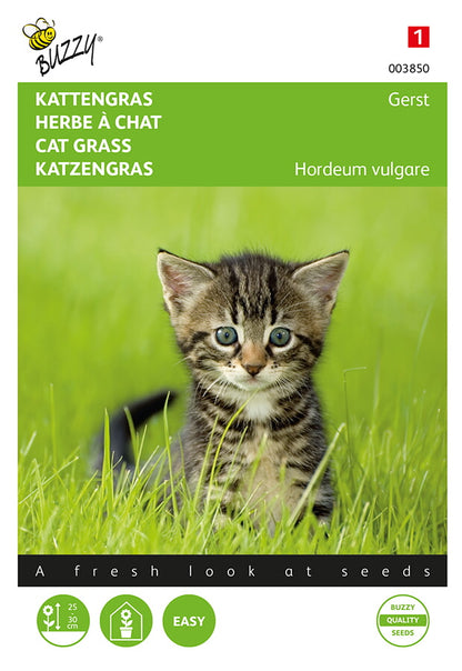 Kattgräs (korn)n fröpåsens framsida med grönä kissanruohoa och kissa.