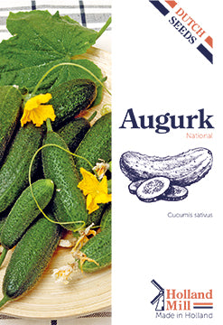 Frilandsgurka ‘Parisian Pickling’ -fröpåsens framsida med gröna kurkkuja.