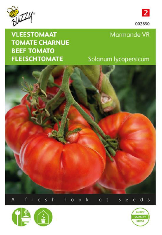 Marmande VR pihvitomat frön – Buzzy®
