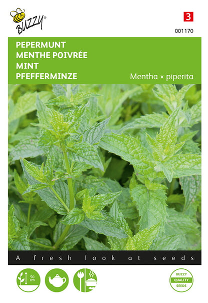 Minttu (Mentha x piperita) -fröpåsens framsida med grön ört och Buzzy®-logotyp