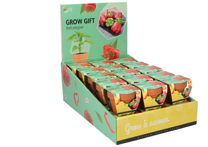 Paprika kasvatuslahja display-telineessä viistosta – Buzzy®