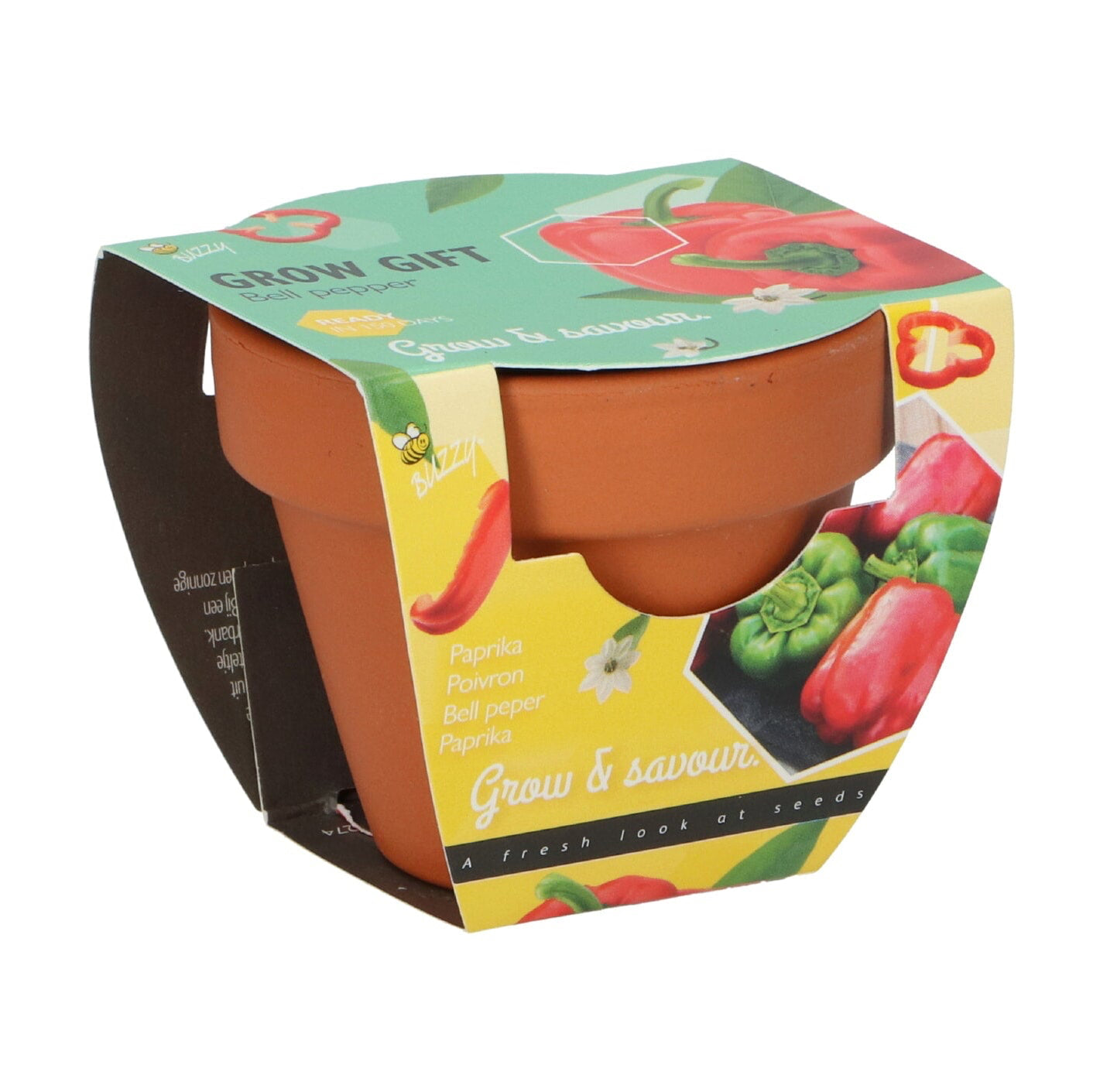 Paprika kasvatuslahja terrakottaruukussa edestä – Buzzy®