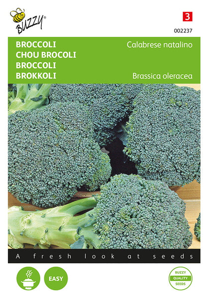 Fröpåse med parsakaali ‘Calabrese Natalino’ (Brassica oleracea), gröna parsakaalinuppuja i bilden.