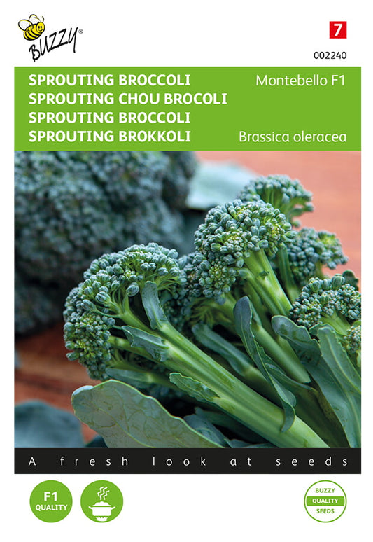 Skottbroccoli ‘Montebello F1’ fröpåsens framsida med valmiita sivuversoja.