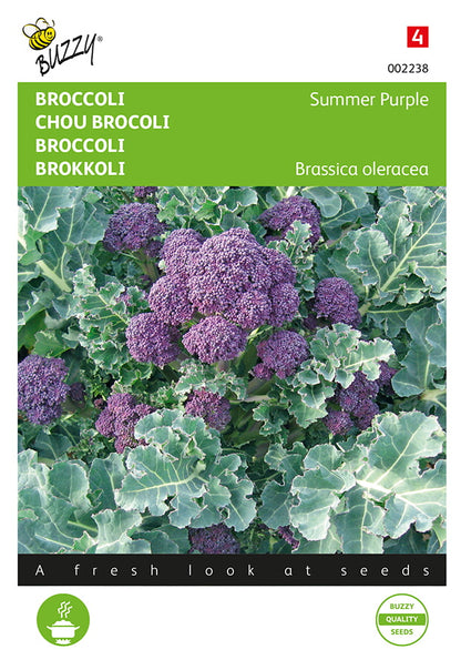 Broccoli ‘Summer Purple’ fröpåsens framsida med purppuranvärisiä versoja.