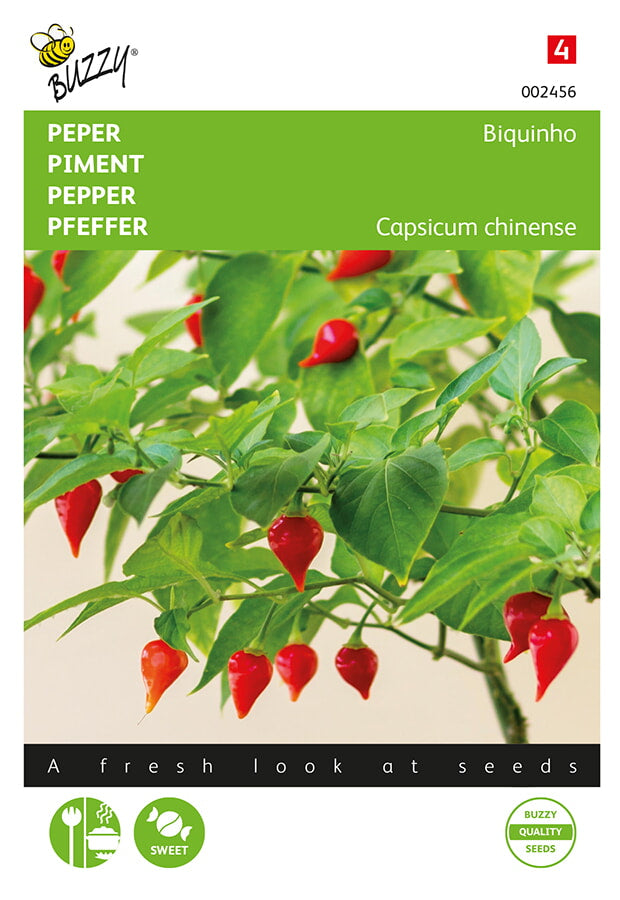 Pepper Biquinho -fröpåsens framsida med kyynelmäisiä röda chilejä.
