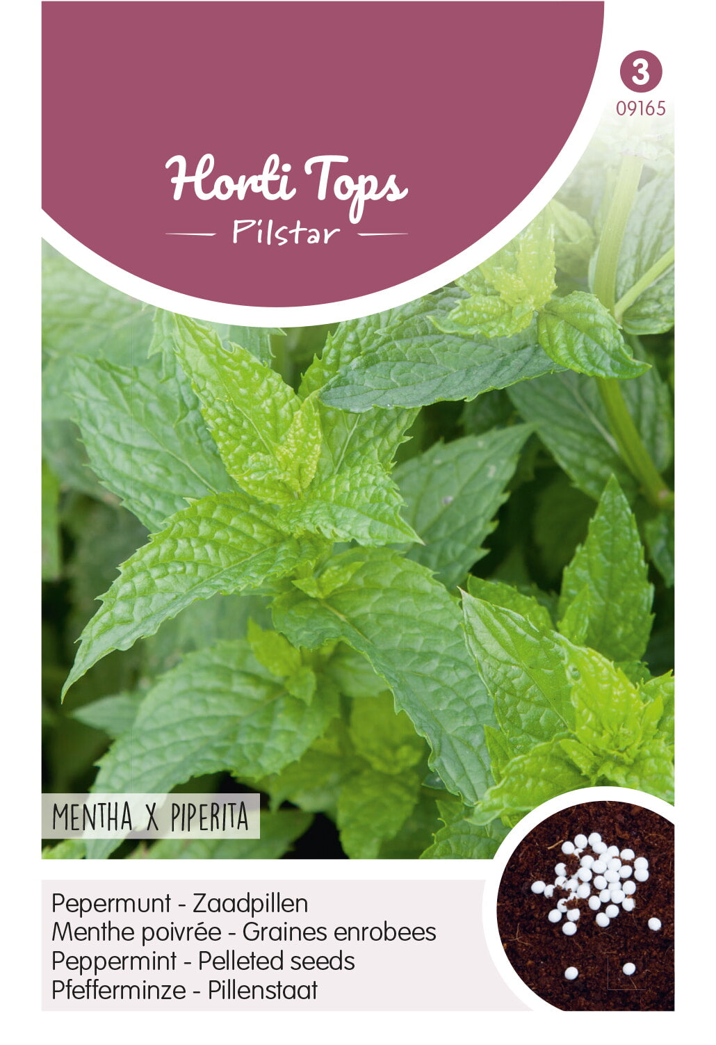 Pepparmynta – Mentha × piperita fröpåse, Horti Tops.