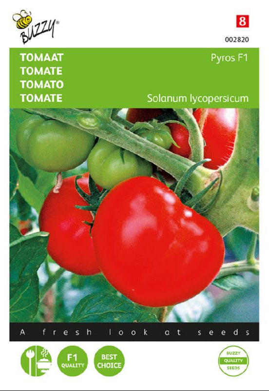 Pyros F1 tomat frön – Solanum lycopersicum