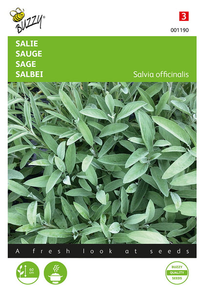 Fröpåse med Salvia (Salvia officinalis) -ört. Buzzy®-varumärke, vaalea och grönsävyinen framsida.